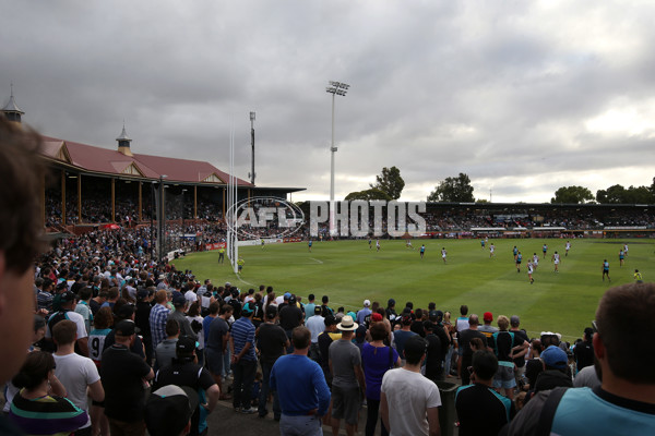 AFL 2015 NAB Challenge - Port Adelaide v West Coast - 361536