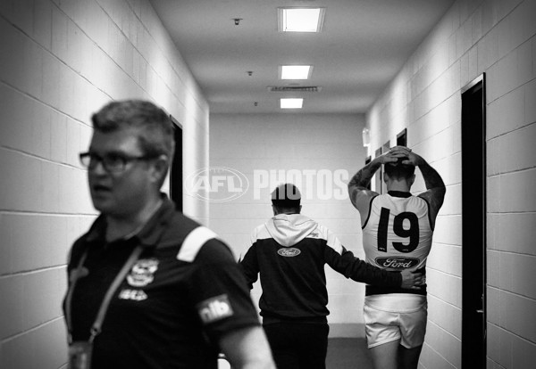 AFL 2015 Rd 06 - Collingwood v Geelong - 371640