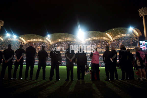 AFL 2015 Rd 15 - Port Adelaide v Collingwood - 386773