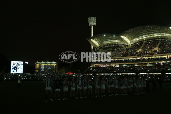 AFL 2015 Rd 15 - Port Adelaide v Collingwood - 386765