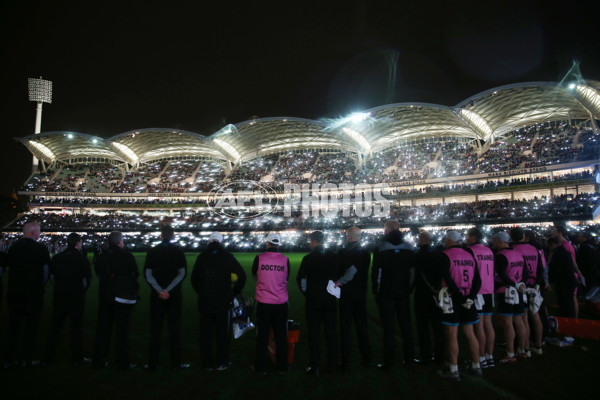 AFL 2015 Rd 15 - Port Adelaide v Collingwood - 386774