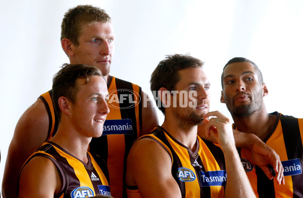 AFL 2014 Media - Hawthorn Team Photo Day - 311156