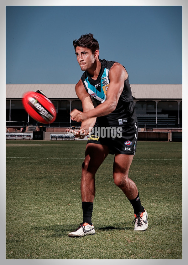 AFL 2014 Portraits - Port Adelaide - 312559