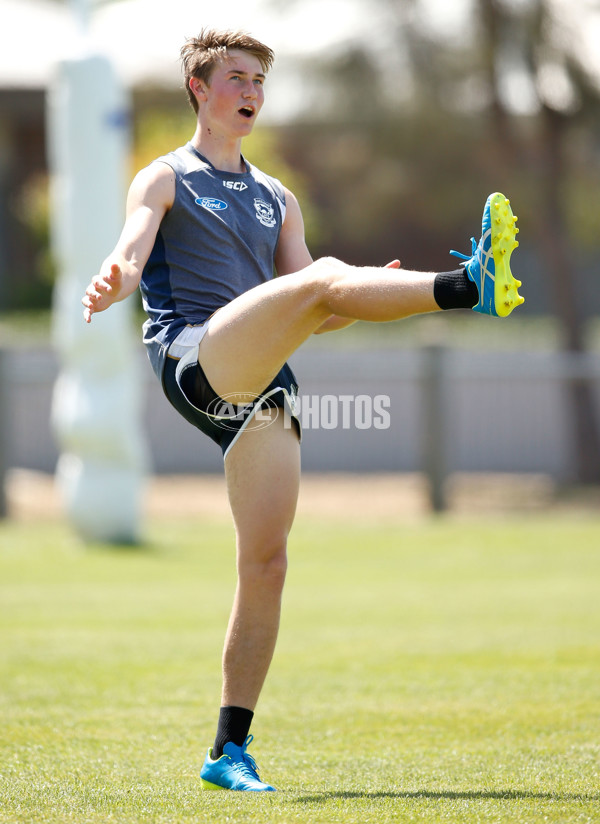 AFL 2015 Training - Geelong 141215 - 413718