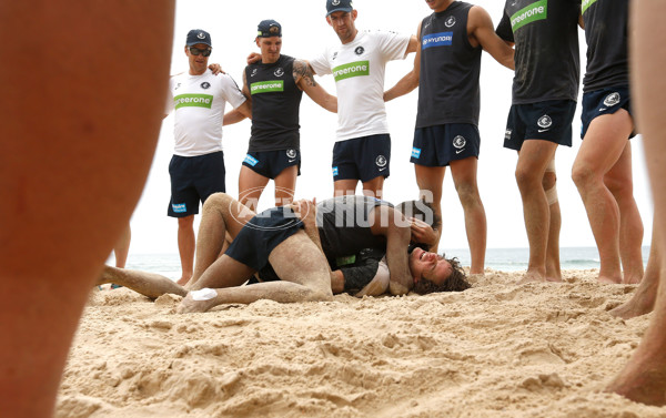 AFL 2015 Training - Blues on the Gold Coast - 413864