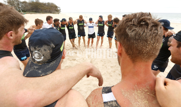 AFL 2015 Training - Blues on the Gold Coast - 413869