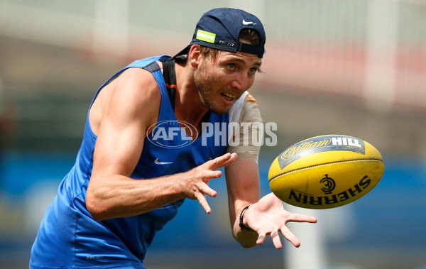AFL 2015 Training - Carlton 251115 - 411955