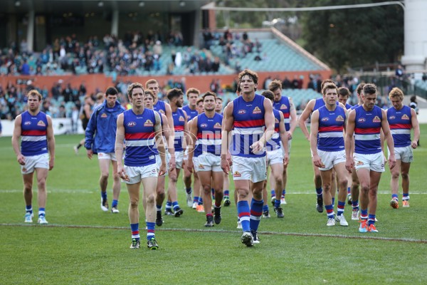 AFL 2014 Rd 14 - Port Adelaide v Western Bulldogs - 333365