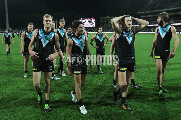 AFL 2014 Rd 16 - Port Adelaide v Essendon - 336743