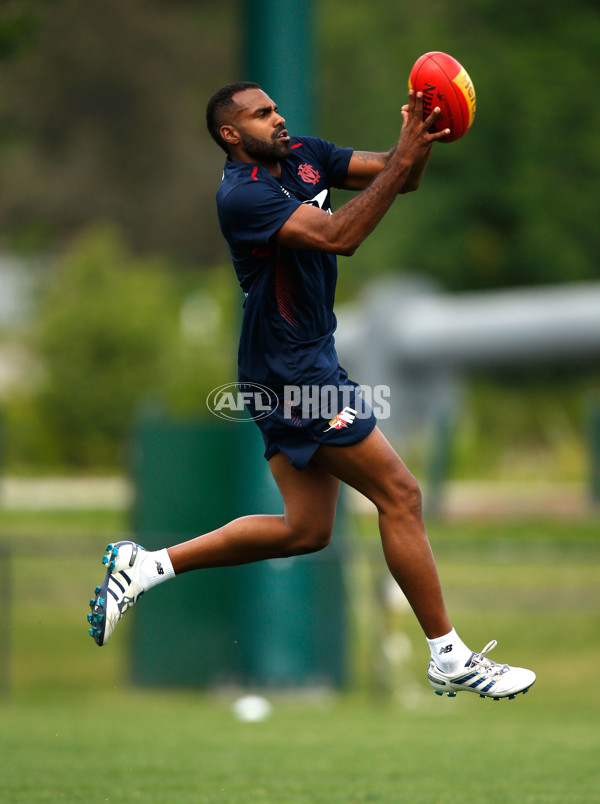 AFL 2014 Training - Melbourne 211114 - 354266