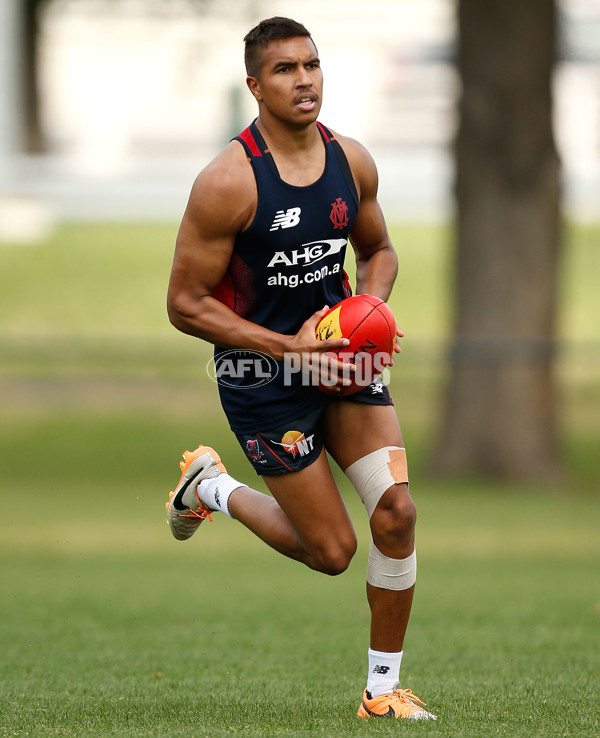 AFL 2014 Training - Melbourne 211114 - 354264