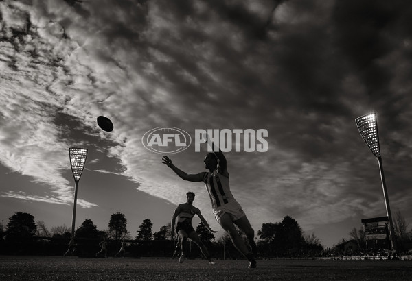 AFL 2014 Rd 20 - GWS Giants v North Melbourne - 341660