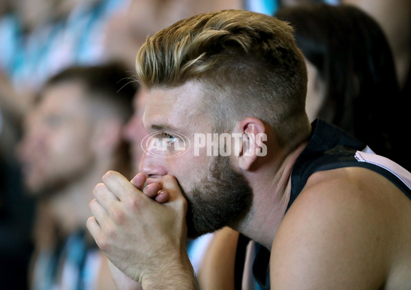 AFL 2017 Media - Port Adelaide Team Photo Day - 491171