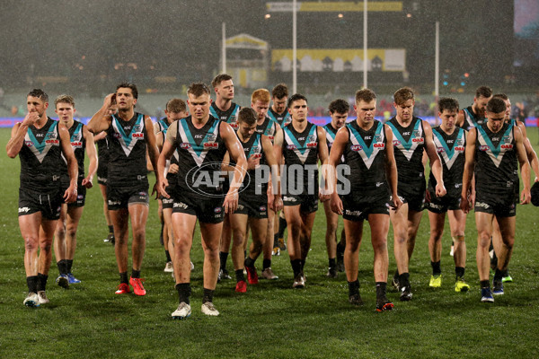 AFL 2019 Round 15 - Port Adelaide v Western Bulldogs - 689354