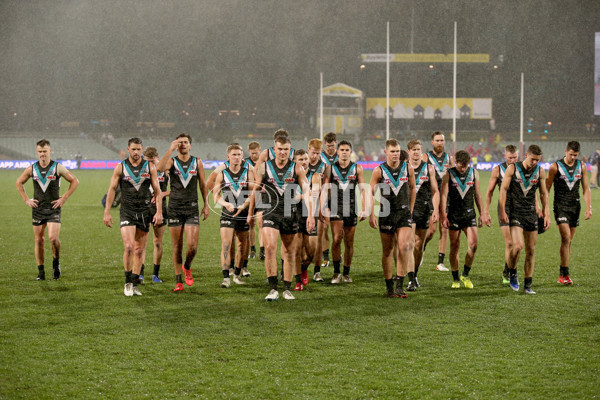 AFL 2019 Round 15 - Port Adelaide v Western Bulldogs - 689353