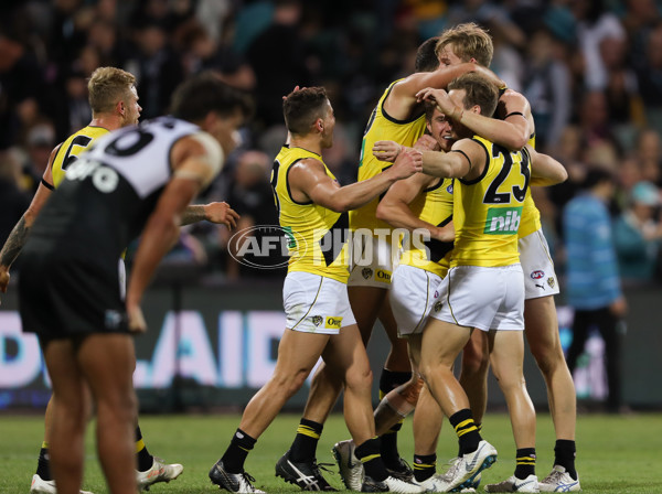 AFL 2019 Round 04 - Port Adelaide v Richmond - 663625