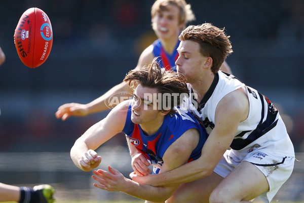 TAC CUP 2017 Final - Oakleigh Chargers v Northern Knights - 548888