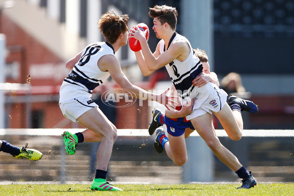 TAC CUP 2017 Final - Oakleigh Chargers v Northern Knights - 548933