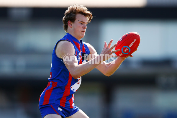 TAC CUP 2017 Final - Oakleigh Chargers v Northern Knights - 548891