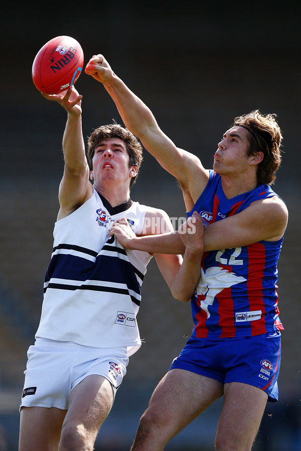 TAC CUP 2017 Final - Oakleigh Chargers v Northern Knights - 548876