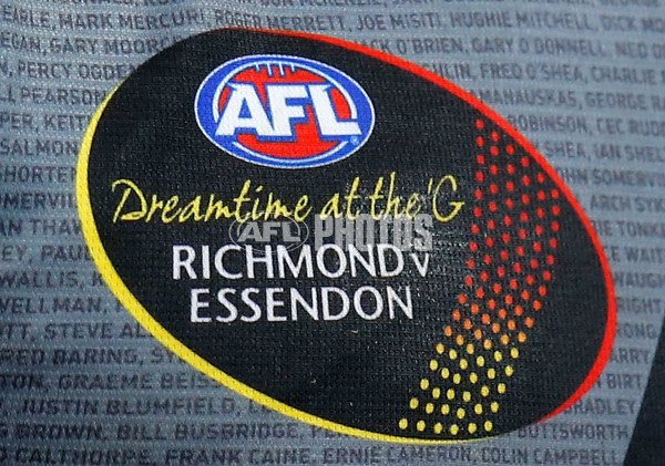 AFL 2013 Rd 09 - Richmond v Essendon - 288535