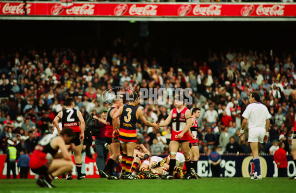AFL 1997 Grand Final - St Kilda v Adelaide - 24583