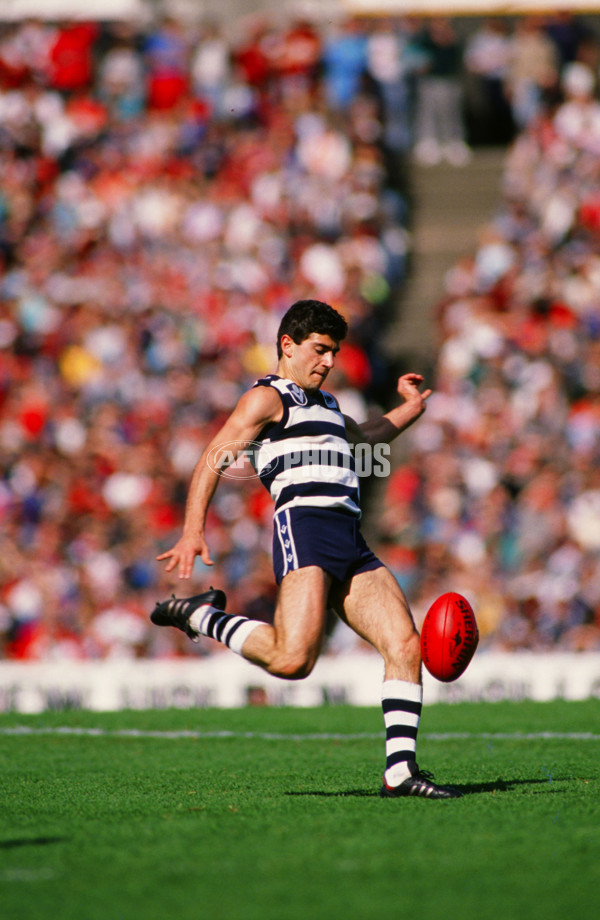 AFL 1990's - Geelong Cats - 29390
