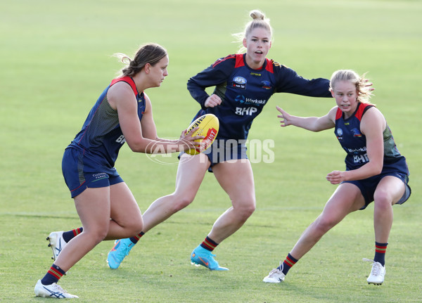 AFLW 2022 S7 Training - Adelaide Crows 161122 - 1022727