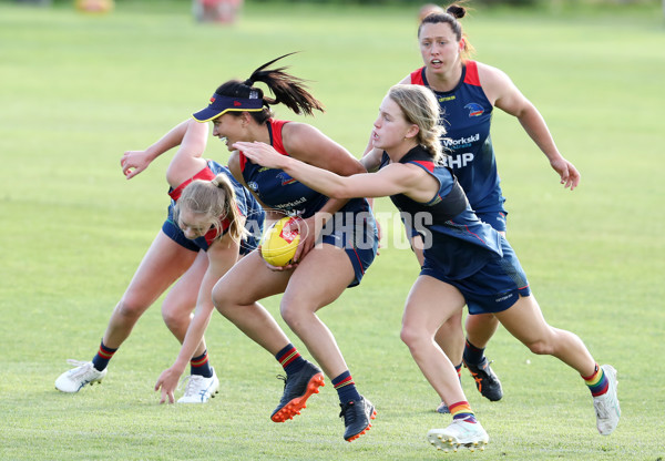AFLW 2022 S7 Training - Adelaide Crows 161122 - 1022725
