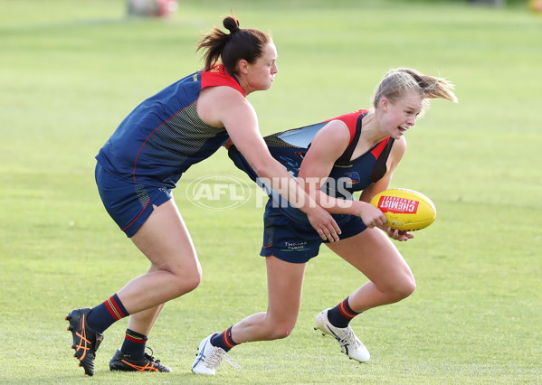 AFLW 2022 S7 Training - Adelaide Crows 161122 - 1022726