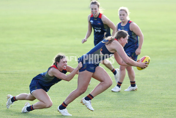 AFLW 2022 S7 Training - Adelaide Crows 161122 - 1022739