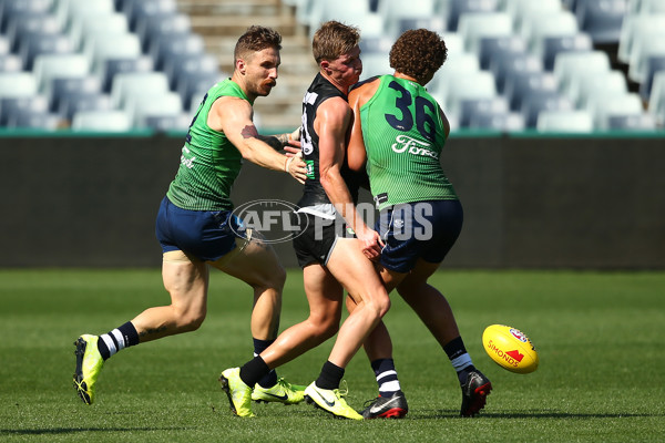 AFL 2020 Training - Geelong and Collingwood - 733379