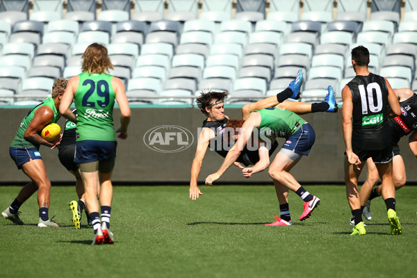 AFL 2020 Training - Geelong and Collingwood - 733403