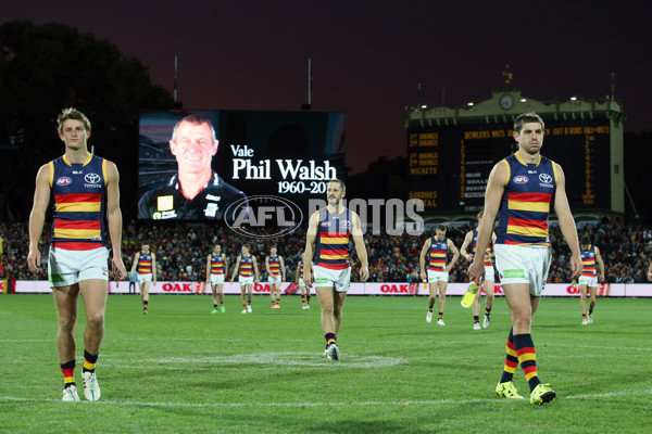 AFL 2015 Rd 16 - Port Adelaide v Adelaide - 389762