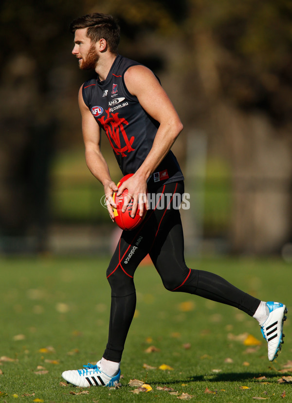 AFL 2014 Training - Melbourne 080714 - 337188