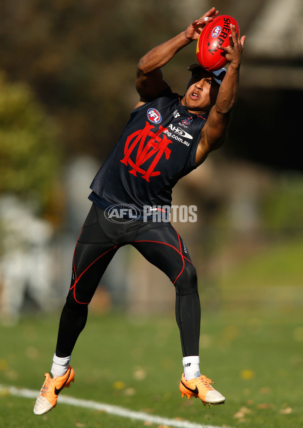 AFL 2014 Training - Melbourne 080714 - 337192