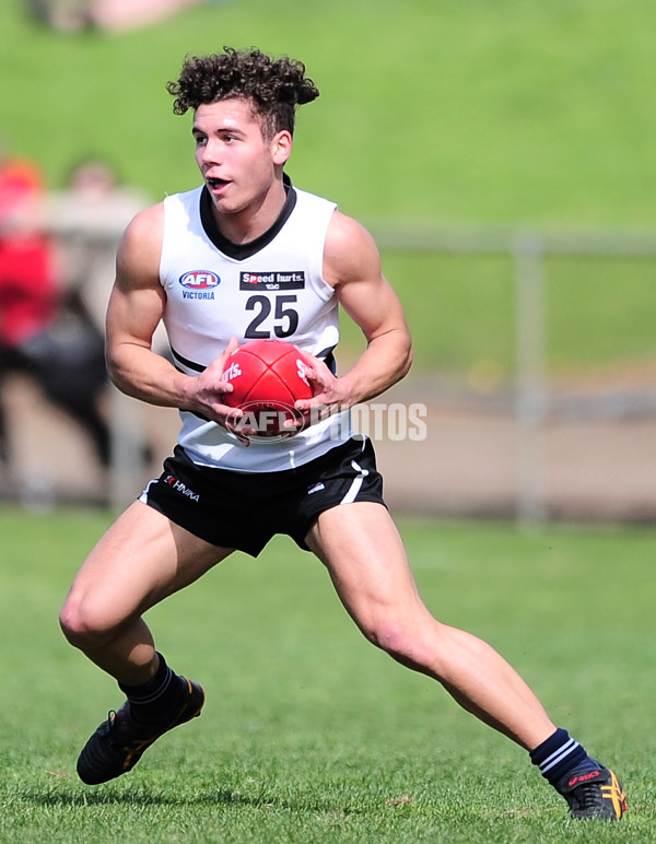 TAC Cup 2014 Rd 18 - Northern Knights v Calder Cannons - 344363