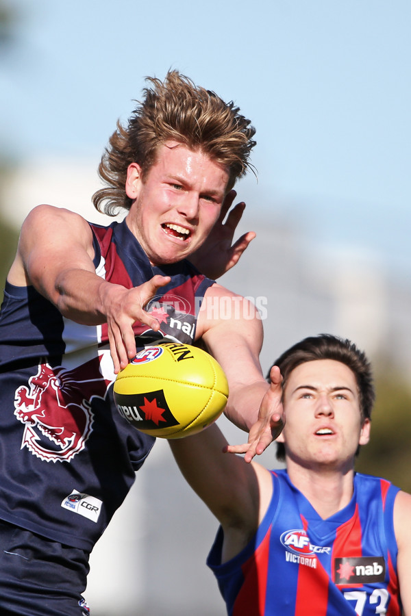 NAB League Boys 2019 Round 17 - Sandringham Dragons v Oakleigh Chargers - 706371