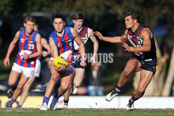 NAB League Boys 2019 Round 17 - Sandringham Dragons v Oakleigh Chargers - 706414