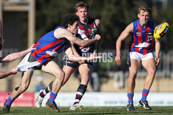 NAB League Boys 2019 Round 17 - Sandringham Dragons v Oakleigh Chargers - 706408