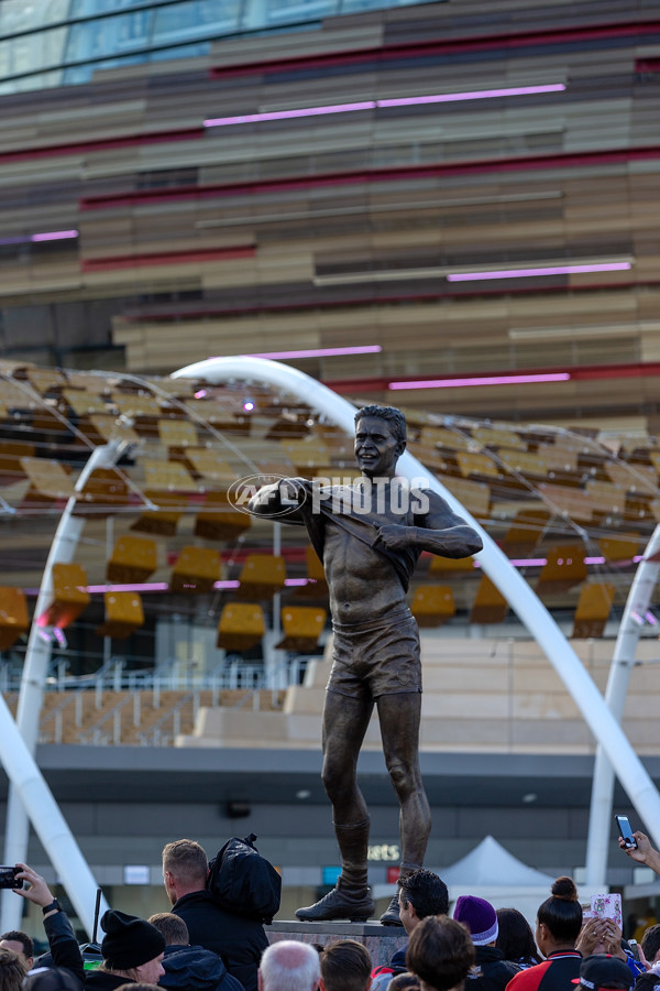 AFL 2019 Media - Nicky Winmar Statue Unveiling - 691463