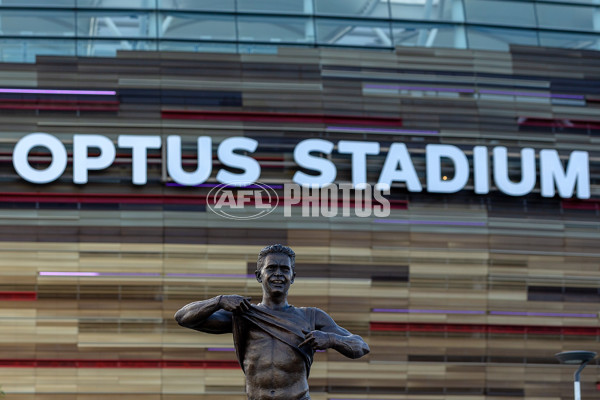 AFL 2019 Media - Nicky Winmar Statue Unveiling - 691465