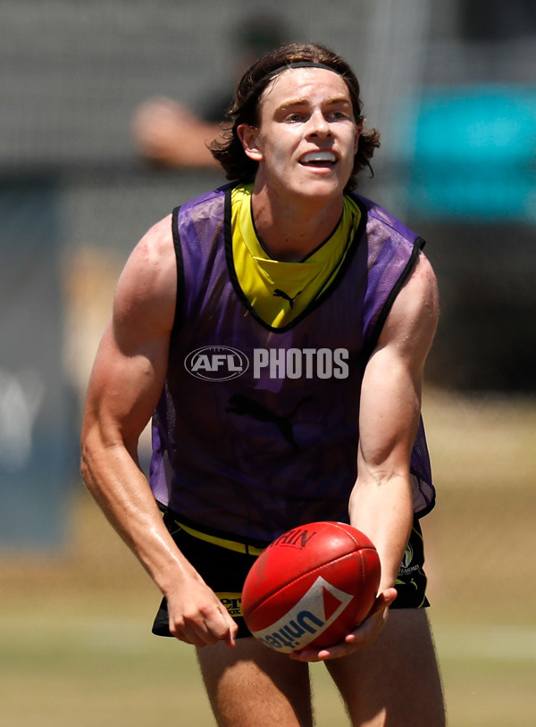 AFL 2019 Training - Tigers on the Gold Coast - 643219