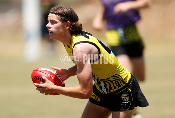 AFL 2019 Training - Tigers on the Gold Coast - 643231