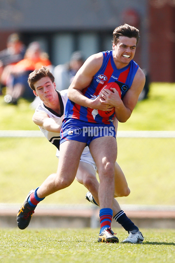 TAC CUP 2017 Final - Oakleigh Chargers v Northern Knights - 548882