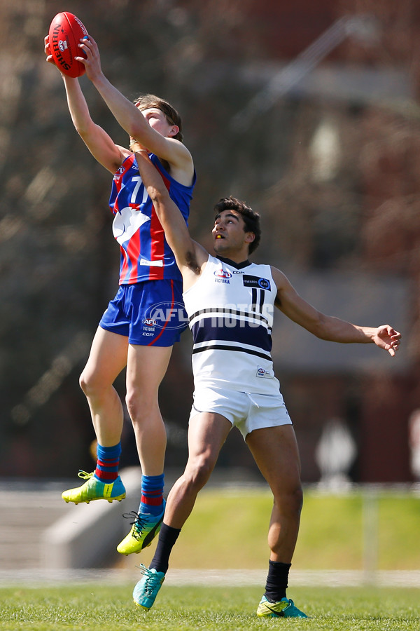 TAC CUP 2017 Final - Oakleigh Chargers v Northern Knights - 548901