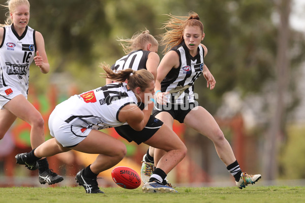 TAC Girls Cup Round 6 - GWVR v Oakleigh Chargers - 590728