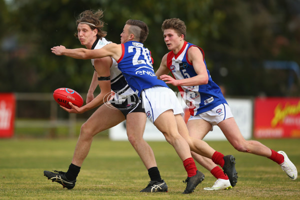 TAC Cup 2018 Round 13 - Northern Knights v Gippsland Power - 614994