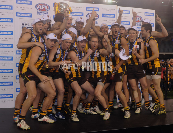 2013 VFL Grand Final - Geelong Cats v Box Hill Hawks - 304446