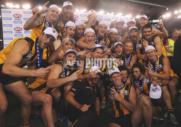 2013 VFL Grand Final - Geelong Cats v Box Hill Hawks - 304447